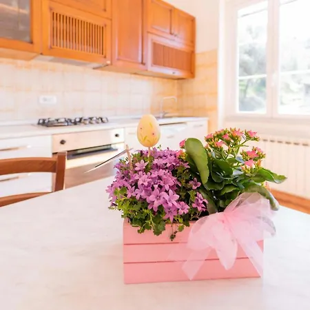 Portico Apartament Moneglia